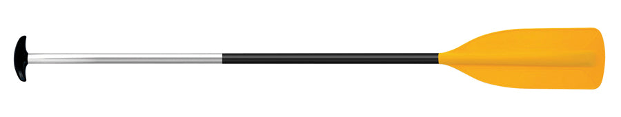 raft_paddle